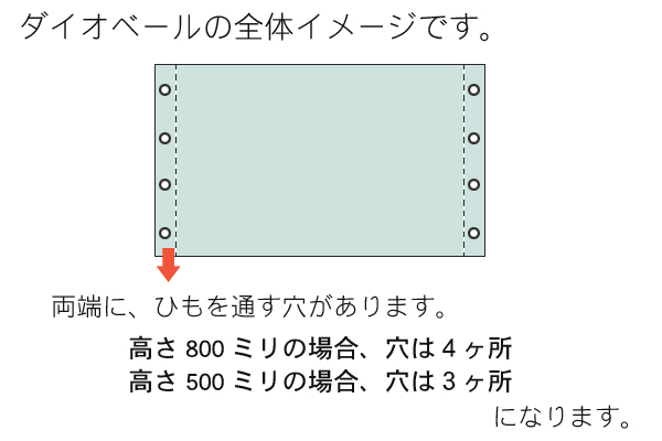 ダイオベールの全体
