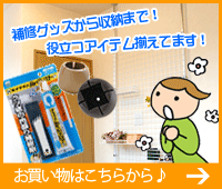 ホームへ戻る