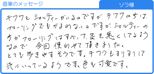 とても歩きやすそうです（ソラ様）