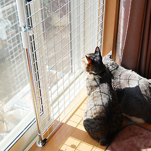 猫たちへの愛情が形になった猫脱走防止パネル