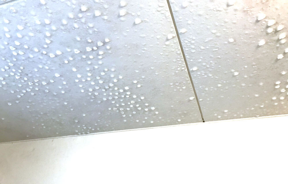 浴室の濡れた天井