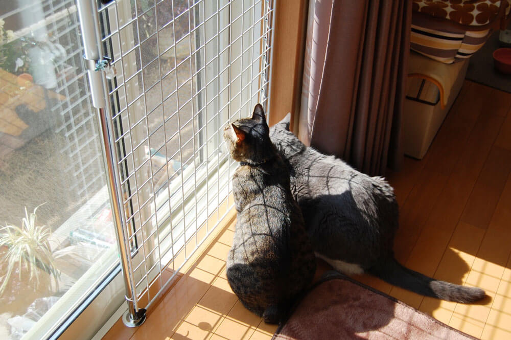 窓につける猫の脱走防止柵