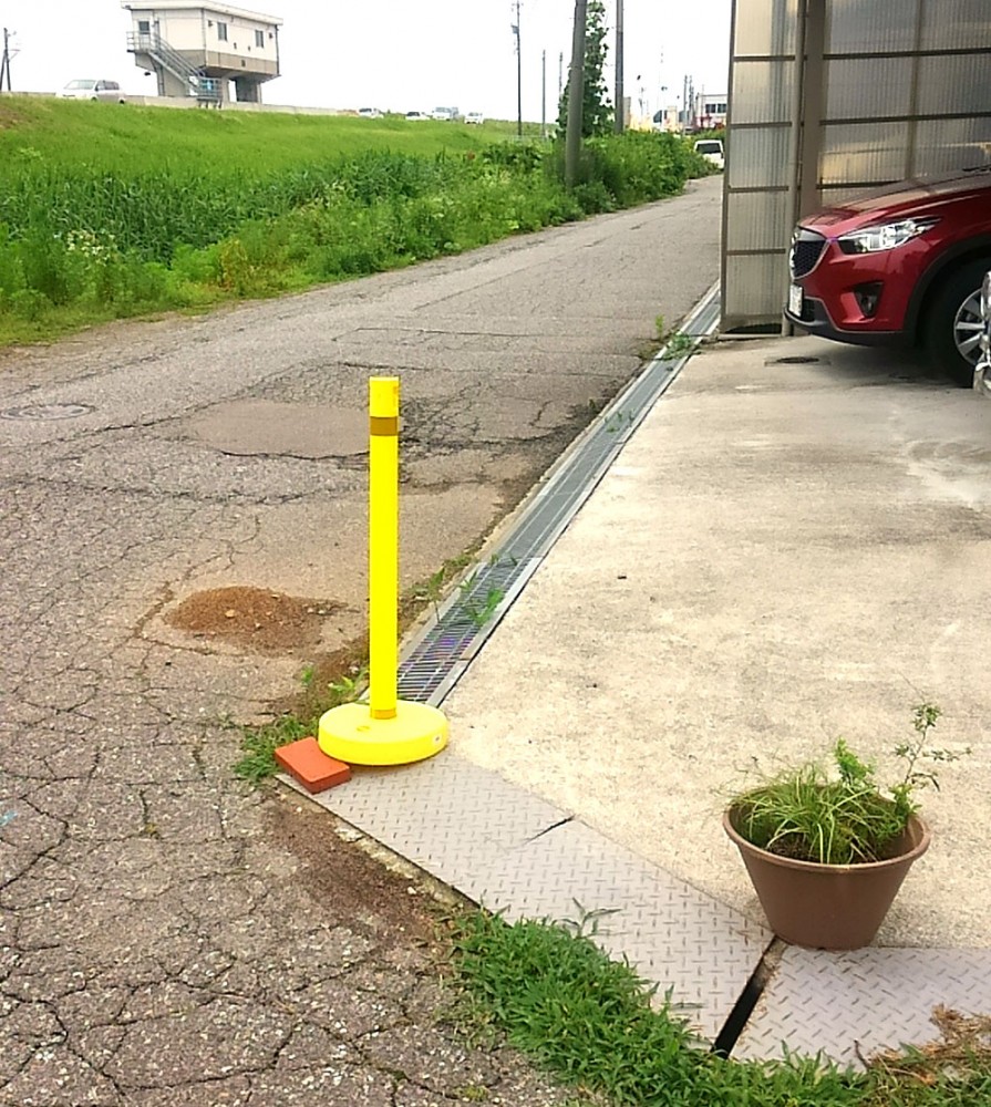 カラープラポールお客様の声