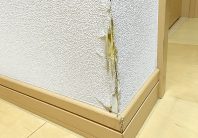 角の壁紙がめくれ上がっているので自分で補修してみた【初級編】