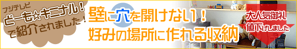 フジテレビ　どーも☆キニナル！にてディアウォールが紹介されました！
