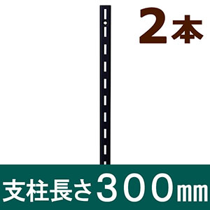 ピラシェル支柱 300mm 黒 WPS001 2本セット
