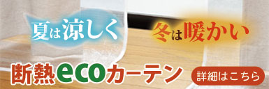 夏は涼しく、冬は暖かい断熱エコカーテン