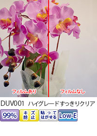 ハイグレードすっきりクリアフィルム写真