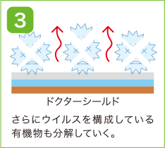 更にウィルスを構成している有機物も分解