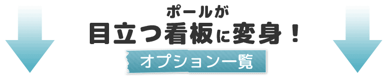 カラープラポール　オプション一覧