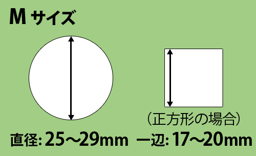 Mサイズ適合サイズ
