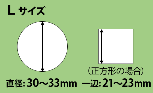 Lサイズ適合サイズ