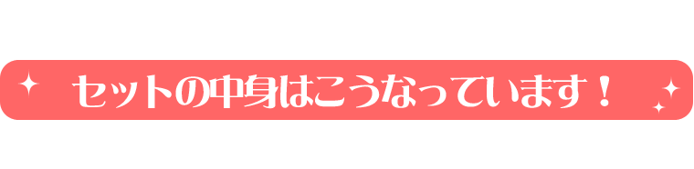 セットの中身はこうなっています