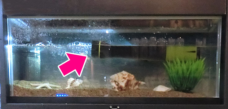 防水加工で水にも浮く