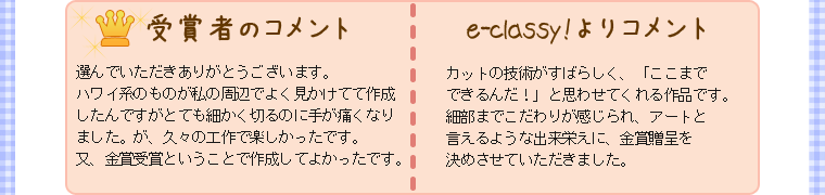 受賞者、e-classy!からのコメント