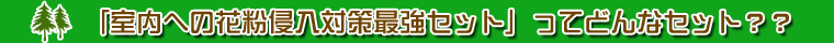 「室内への花粉侵入対策最強セット」のセット内容