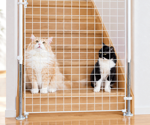 猫のメッシュ扉を出入口に設置した使用写真