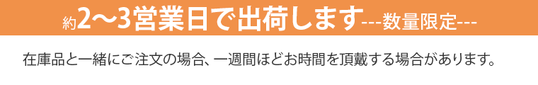 約2～3日で出荷